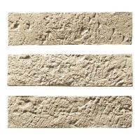 �ɥ����� �ҥ륺�ͥ�����[CNH] ������ʿ ��:CNH-200 (58736DTT)