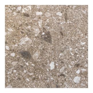 �֥��ɥ�����:�������� �ե������å�[FLO] 300��ʿ ��:FLO-3(59606DTT)