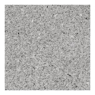 �֥��ɥ�����:�������� ���쥤���ƥ�[GTE] 600��ʿ ��:GTE-05ER(59980DTT)