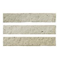 �ɥ����� ���󥫥����[INC] �ܡ����� ��:INC-100 (60042DTT)