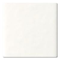 ɥ ѥ/[JPS] 150ʿ :JPS-100 (60093DTT)