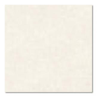 �֥��ɥ�����:�ɥ����� ����ѥ�/����[JPS] 100��ʿ ��:JPS-101(60102DTT)