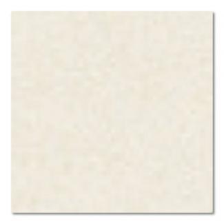 �֥��ɥ�����:�ɥ����� ����ѥ�/����[JPS] 100��ʿ ��:JPS-102(60111DTT)