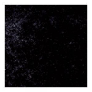ɥ ѥ/ƥ⥯[JPT] 150ʿ :JPT-100