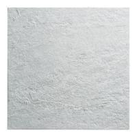  Х[LVT] 600ʿ :LVT-10 (60427DTT)