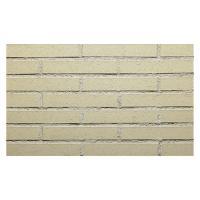 �ɥ����� �ޥåɥ�������[MUD] �ܡ����� ��:MUD-100 (60592DTT)