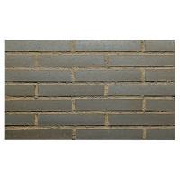 �ɥ����� �ޥåɥ�������[MUD] �ܡ����� ��:MUD-500 (60624DTT)