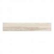  ʥࡼ[NTM] 1200200ʿ :NTM-100 (60666DTT)
