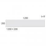  ʥࡼ[NTM] 1200200ʿ :NTM-101 (60667DTT)