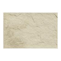 ɥ ץ饤ॹȡ[PAD] 300200ʿ :PAD-2 (60747DTT)