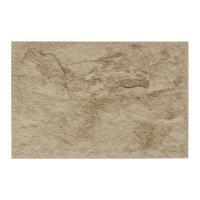 ɥ ץ饤ॹȡ[PAD] 300200ʿ :PAD-5 (60749DTT)