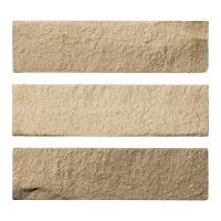 ɥ ꥴå[RT] ʿ :RT-40 (61343DTT)