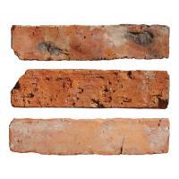 ɥ ȥ֥å[RTB] 24050ʿ :RTB-300 (61354DTT)