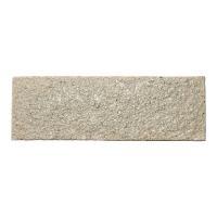 �ɥ����� sakan kakiotoshi[SKK] 300��100ʿ ��:SKK-100 (61424DTT)