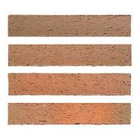 ɥ åĥܡ[TAN] ܡ :TAN-4 (61654DTT)