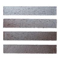 ɥ åĥܡ[TAN] ܡ :TAN-5 (61657DTT)