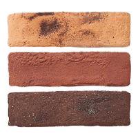 ɥ 饤ȥ֥å[TCD] 21865ʿ :TCD-1003 (61677DTT)