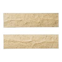 ɥ å[TN2H] ʿ :TN2H-2 (61736DTT)