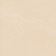  ץǥ? 300ʿ :355 (62172KYT)