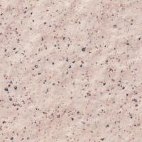 �������� �ɥ��� 100��ʿ ��:33 �ڼ����б��ʡ� (62290KYT)