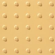 �������� ��о㳷���ѥ����� 300��(����)��о㳷���� ��:1Y (62569KYT)