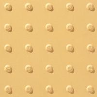  о㳷ѥ 300()о㳷 :1Y (62569KYT)