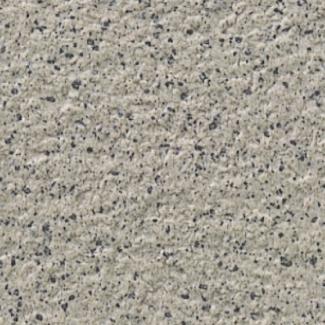 �֥��ɥ�����:�������� ����� 100��ʿ ��:22(62581KYT)