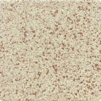  ŷ 100ʿ :23 (62872KYT)