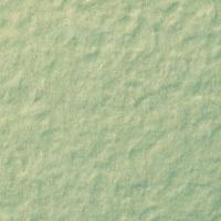  ե졼ߡ 50ʿ :12 (62973KYT)