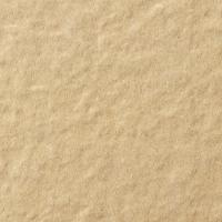  ե졼ߡ 50ʿ :62 (62978KYT)