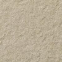  ե졼ߡ 50ʿ :82 (62982KYT)