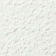  ե졼ߡ 100ʿ :01 (63010KYT)