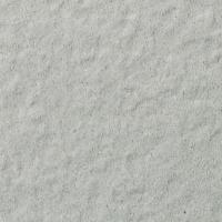  ե졼ߡ 100ʿ :02 (63011KYT)