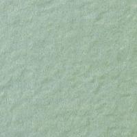  ե졼ߡ 100ʿ :15 (63013KYT)