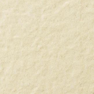 �֥��ɥ�����:�������� �ե졼�ߡ� 100��ʿ ��:62(63016KYT)