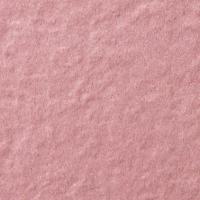  ե졼ߡ 100ʿ :72 (63019KYT)