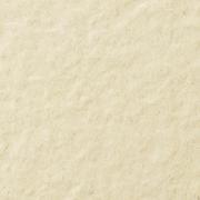  ե졼ߡ 200ʿ :62 (63094KYT)