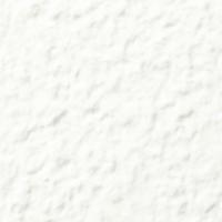  ե졼ߡ 200ʿ :10 (63100KYT)