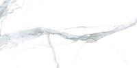 Ƚ ࡼ(ޥå) 1200600ʿ :11M (63283KYT)