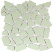 �⥶���������� ����å��奿������� ��� ��:crg-1(A) (63623TGY)