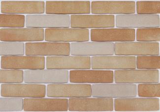 �֥��ɥ�����:�ɥ����� ���륻�� ������ ��:KARUCERA-B-1(63698TGY)