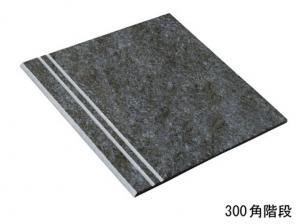  롦 300ʿ :EV-12 ڼùʡ