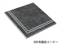  롦 300ʿʥʡ :EV-09 ڼùʡ (63805MKK)