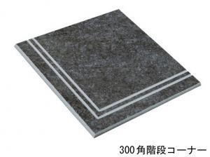  롦 300ʿʥʡ :EV-12 ڼùʡ