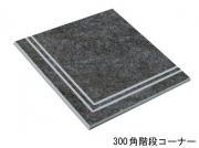  롦 300ʿʥʡ :EV-14 ڼбʡ (63810MKK)