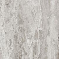 &ɥ ॹȡ      (⾲) 600ʿ :SILVER (63916STD)