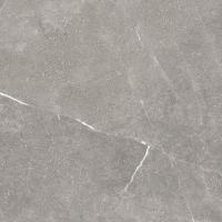 &ɥ () 600ʿ :GRAY (63925STD)
