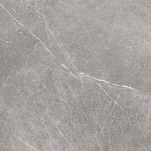 &ɥ (⾲) 600ʿ :GRAY