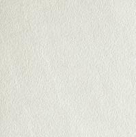 &ɥ ƥ() 600ʿ :BIANCO (63963STD)
