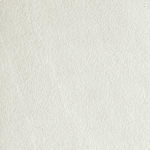 &ɥ ƥ() 600ʿ :BIANCO